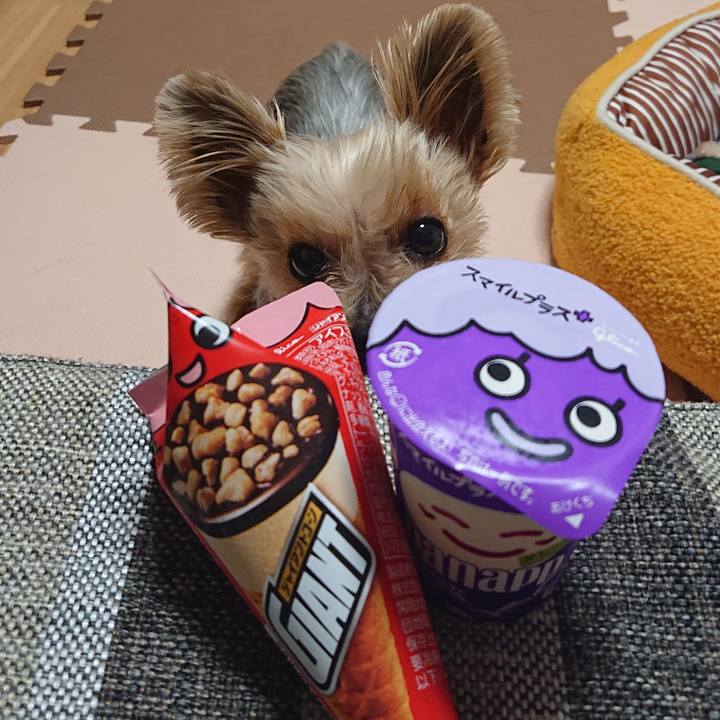 053fcf9c a702 4b93 b58f 1ae337db9ff9 1582934636030