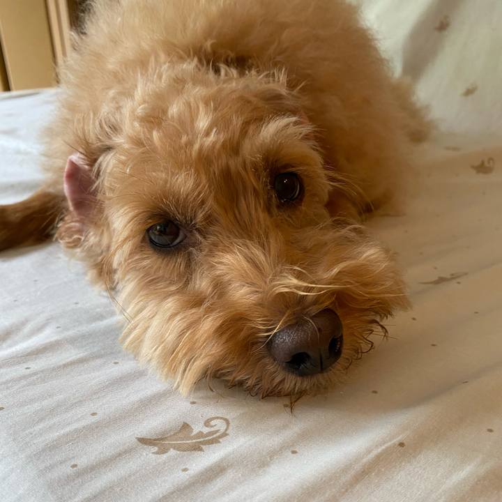 053fdbd4 e0e9 40f9 b59a 47dea46072bb 1659931524802