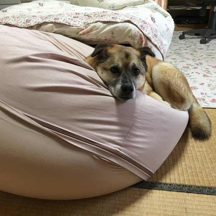 053fde69 ee7c 455d be91 18861c53a4f5 1523083117776