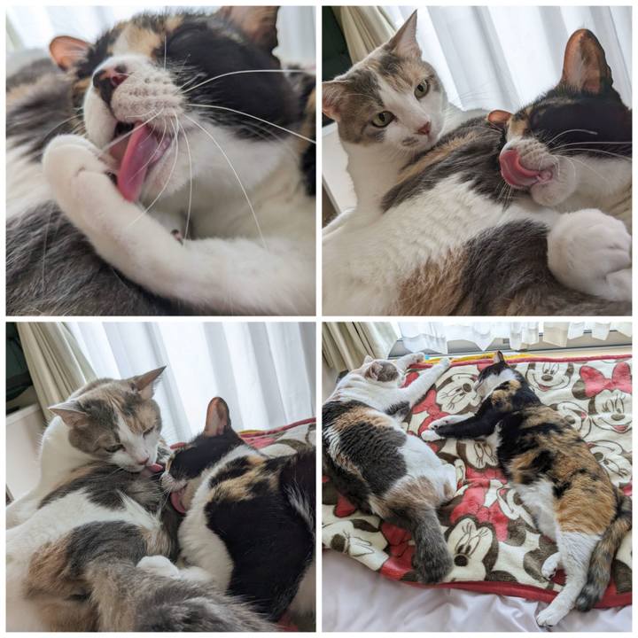 053fe84a 0f1d 4d60 92b0 0caff929d8c4 1683431093844