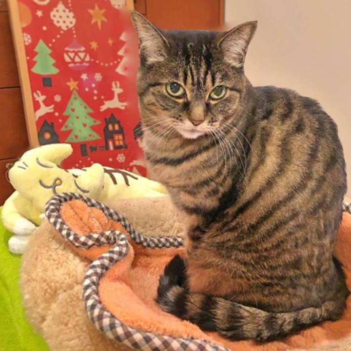 053ff6b9 4bbb 481d 8d2a d7a4049f542c 1765934706202