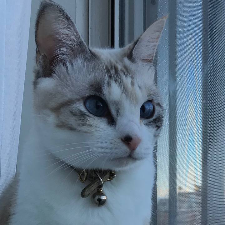 054050e5 e29b 4162 94fa 25a14d953741 1510705245700