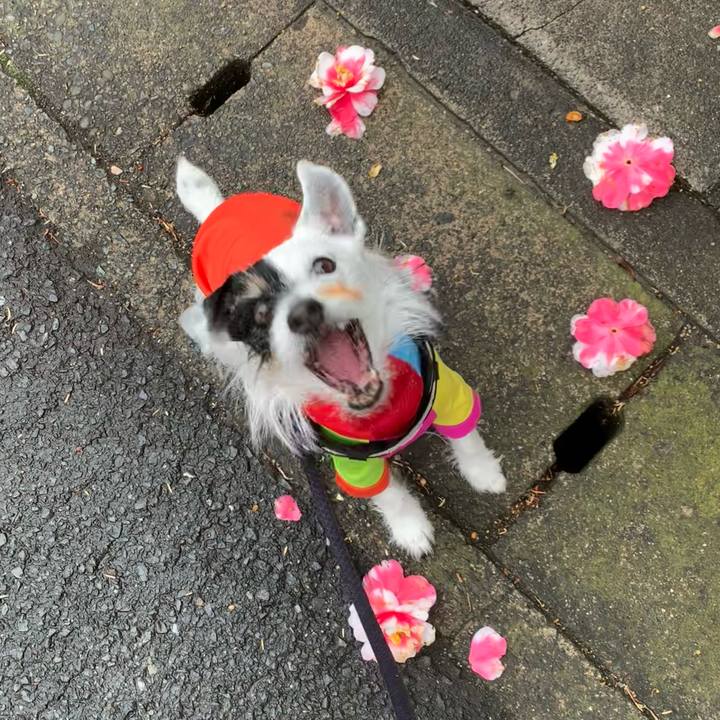 05409c57 25d8 42d8 ad60 c769be38e029 1741738381638