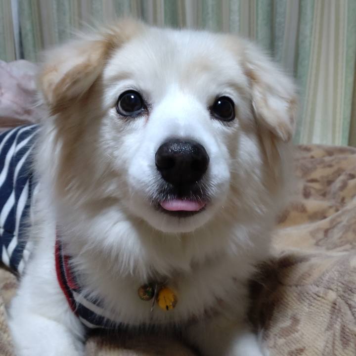 05409e0e 4d48 467d 94fd 7a907fbf2bbe 1642108442032