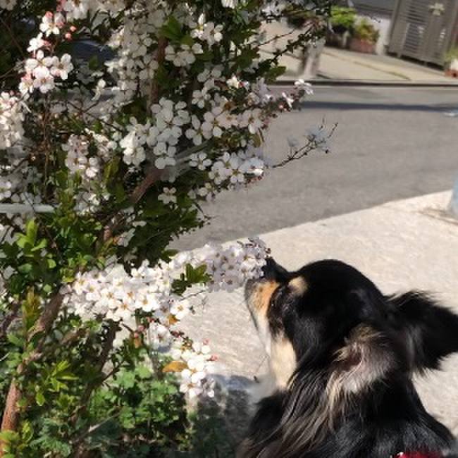 0540bd0b a693 4f71 a2ef d030fe3115e9 1584072691695