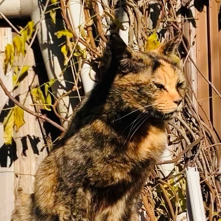 0540d69d 153d 4341 a089 73bbde4c8d5a 1735630492271