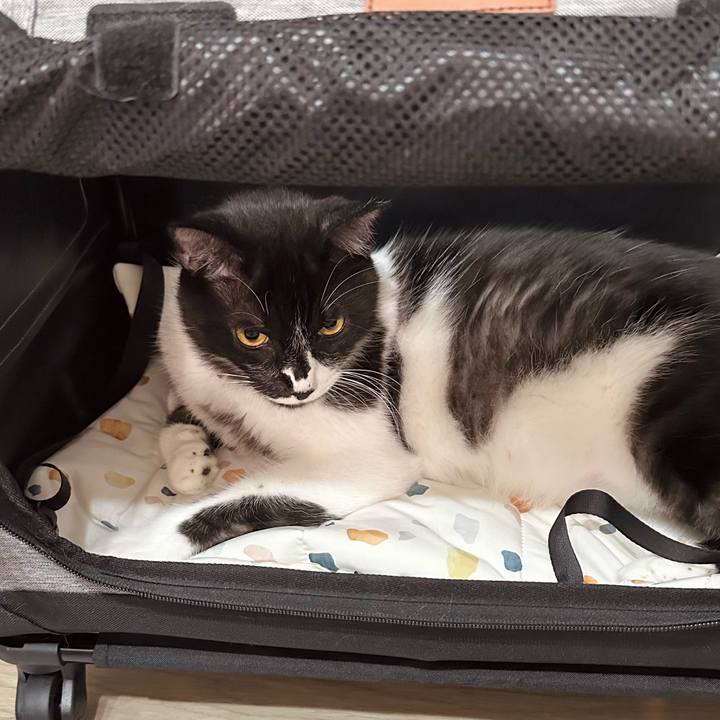 0540f0f2 6851 4cce ad96 41b81843ef49 1754818138506