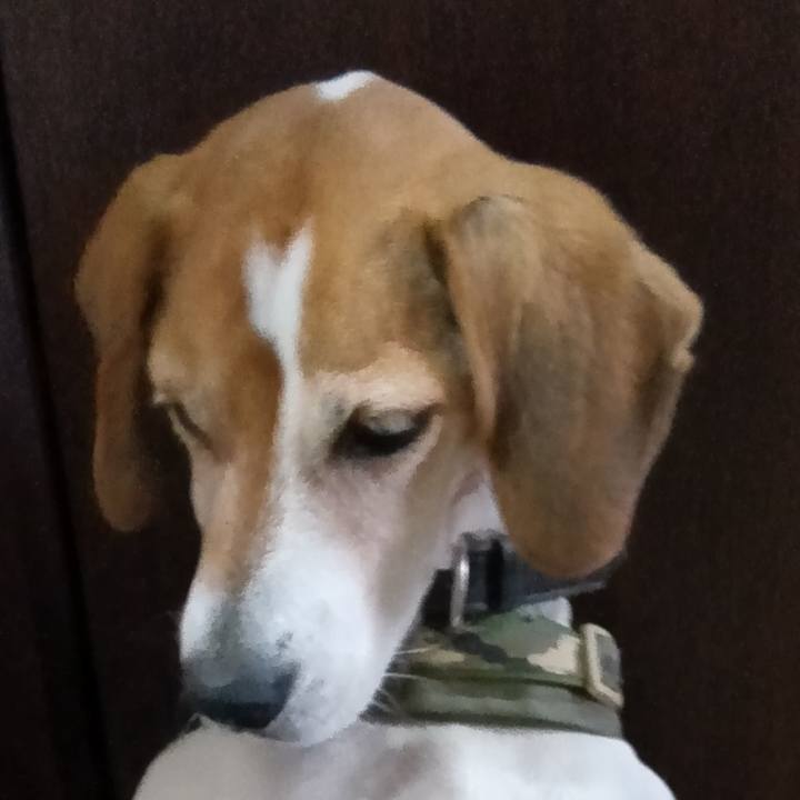 05411763 4077 4890 9b8a df9ad46ad214 1734746731188