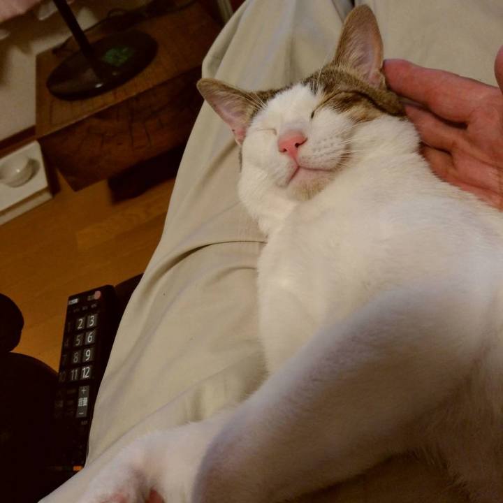 05411a60 1a47 4833 af6f ad7d569a1e5a 1658148207885