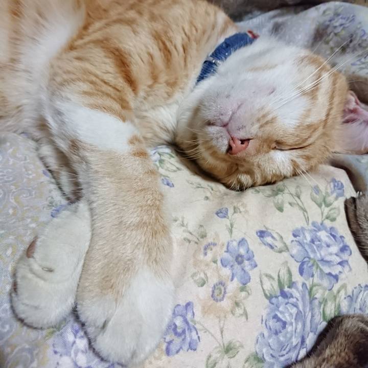 05413a5e b335 472a 9420 fe8490903105 1563369244319