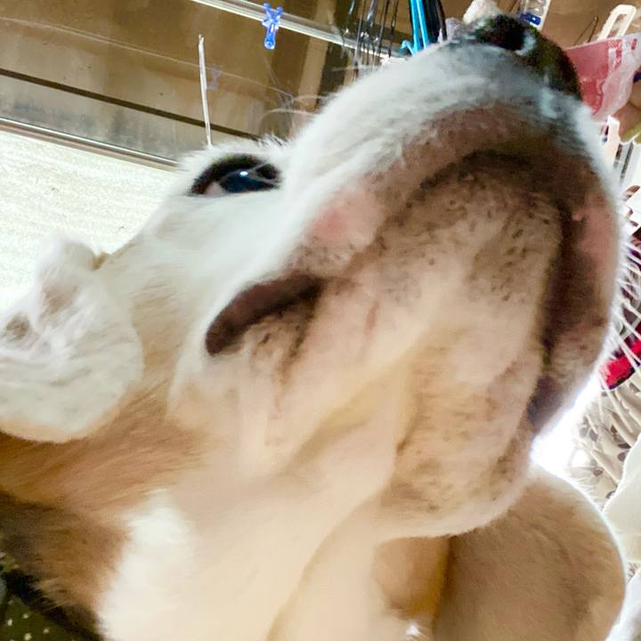 05413e1e 4a72 4b7f a42f 8e5b64053326 1643520548904