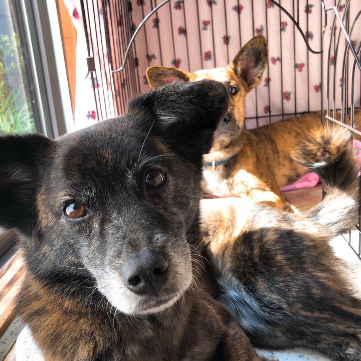 054184da dc5b 447f ba13 ff2d3cd47e6d 1584251260604