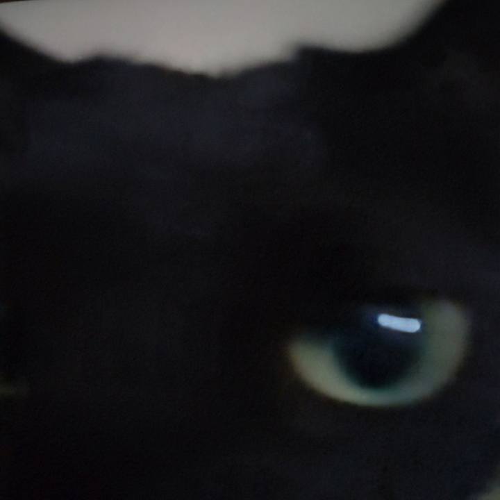 0541aaf3 7455 4070 b988 ef9fb66e9c5a 1735388767075