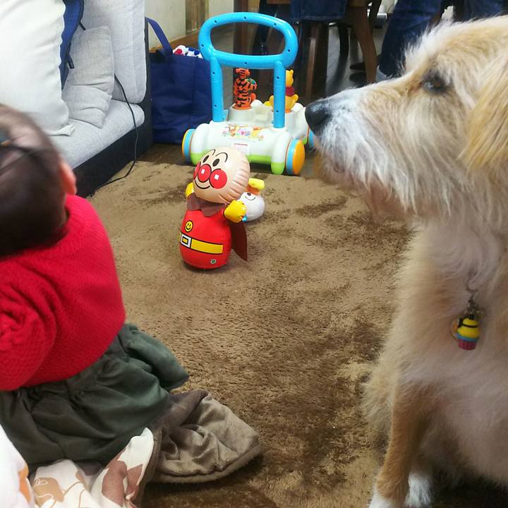 0541b3e8 723b 42b3 a232 6e8d17c9e8ac 1514433022353