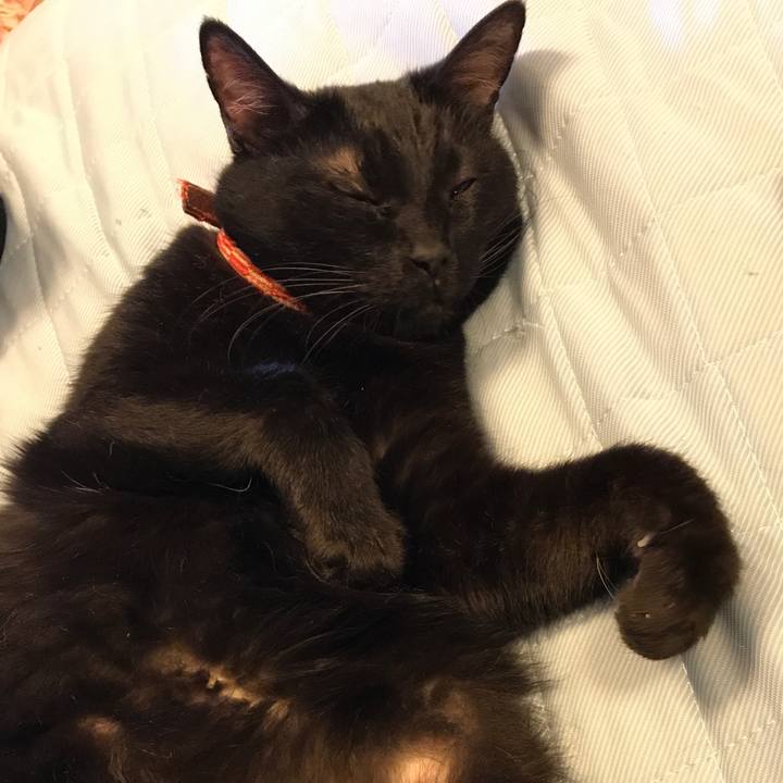 0541dd83 3913 4949 a801 adefb33dde03 1528961334216