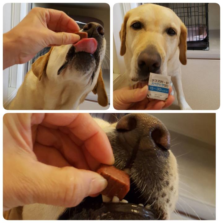 0542106a ef40 4869 96b9 7bca96cd01eb 1575173159232