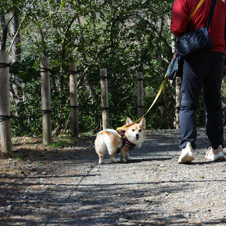 05423917 b234 429f a58a 639643e092a8 1711893092135