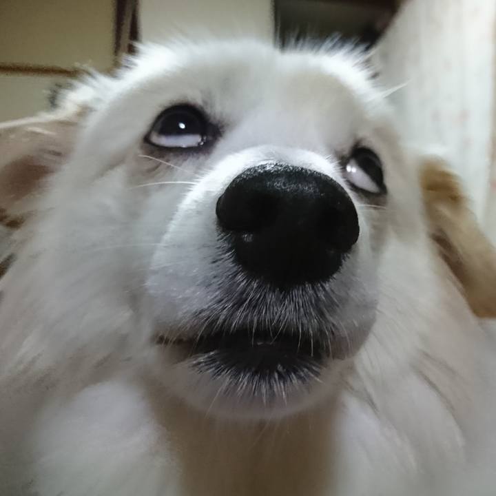 05427754 fb8a 4dd4 ad33 2b12da0db619 1539594903171