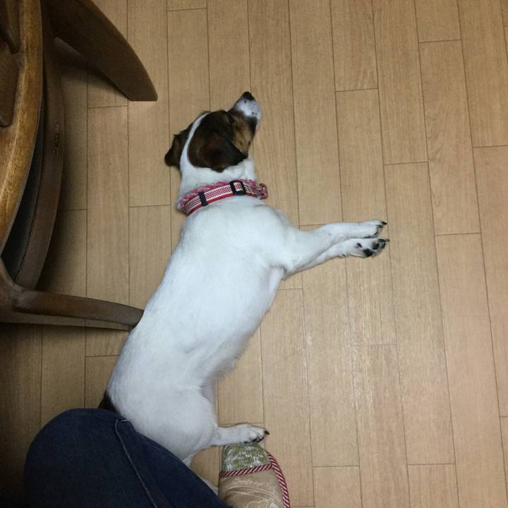 0542ae6a bf6c 4c91 b968 ecc3ab380a1c 1522661721070