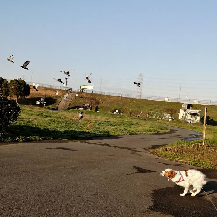 0542c2c3 29b3 4349 8464 3f92a61c11fd 1583712968602