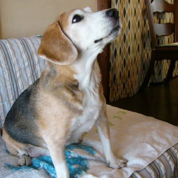 05430e53 f97f 4cf5 acb1 d53c5760a9a9 1653608450277