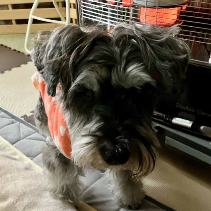 0543149e 000e 49bf bcd9 26d37fe28f58 1774215950084