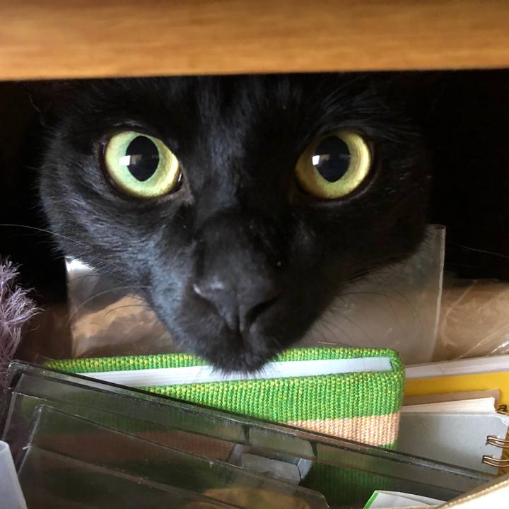 054334a7 1226 41f8 80df 3b40d0ccfd2e 1566002680201