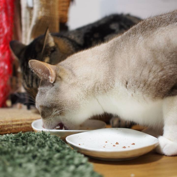 054344c2 ed8b 44c2 9fd7 dd0cbbc21af5 1549980956338