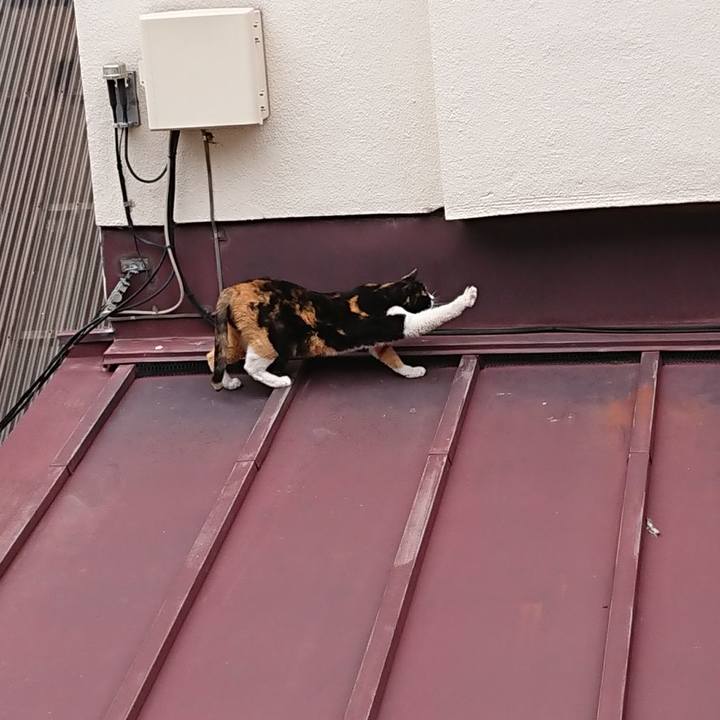 05436093 7315 419c 98cd 188a9b114484 1647668896658