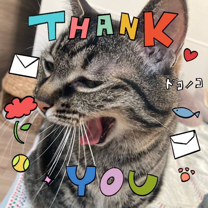 05437a29 f4f7 44dd bfb4 522accd1d411 1714882544117