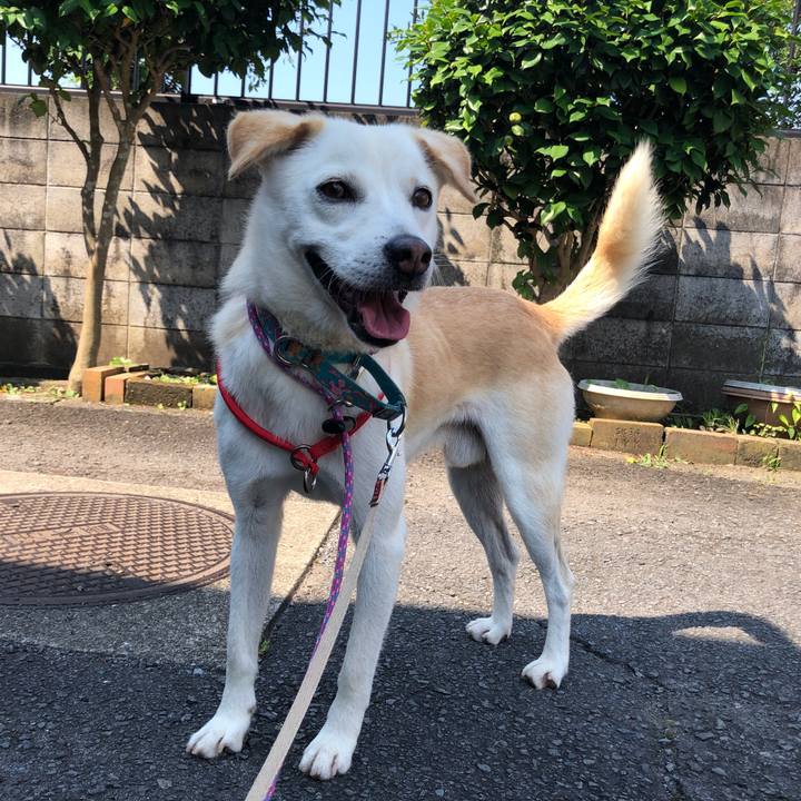 054383fe f037 4c2b 9f2f c4781691b8a8 1623285881171