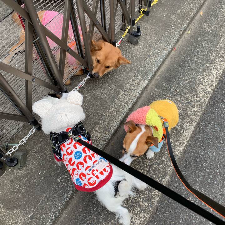 0543dad0 670f 4cc2 9c48 4212dfe93e63 1548378378977