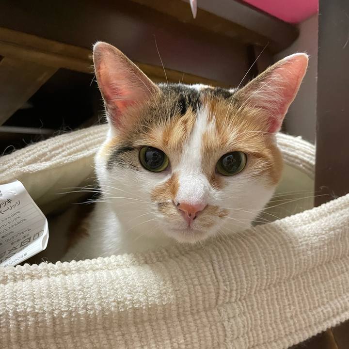 0543fe4e 8c20 4856 977b 1bc492773e3d 1625061308339