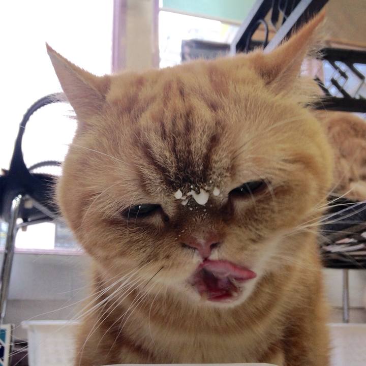 05443261 1946 4da3 a1b4 0f0131c8c0bb 1546221845904