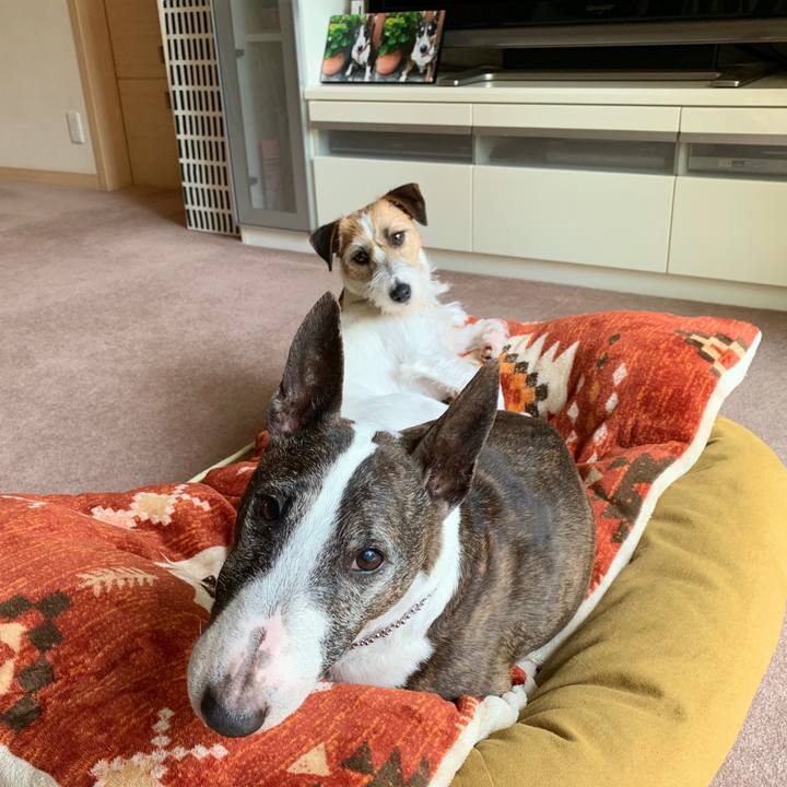 0544541e cad1 4b35 9bcc f51e2811807f 1588048016215