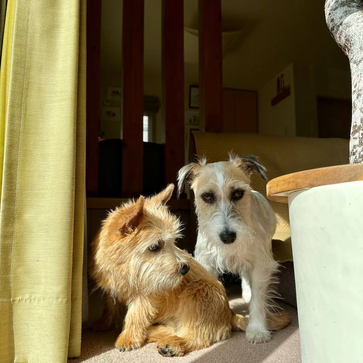 0544b0c8 5479 4097 abc6 7c0a96b88154 1708397642730