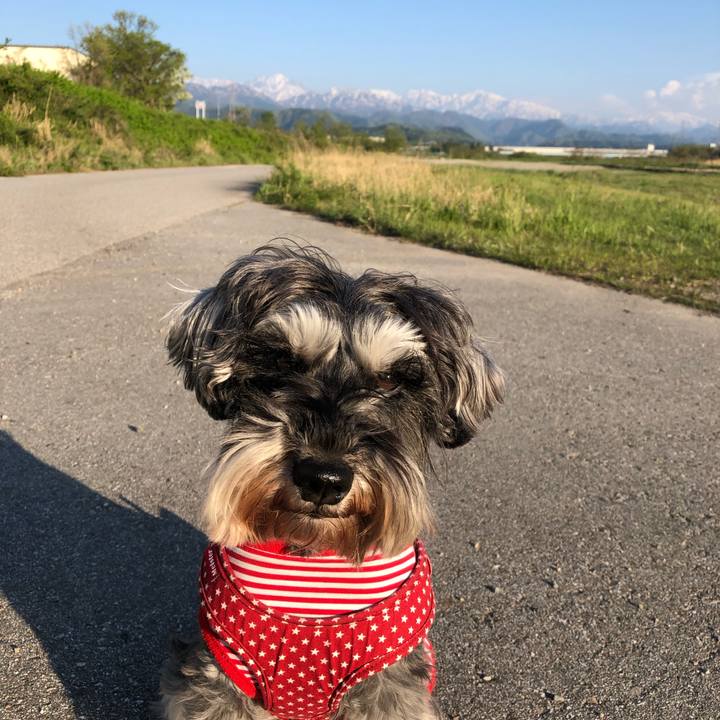 0544b8db 0a9d 4596 a0fa 0f6a6ba1ac79 1556982936629