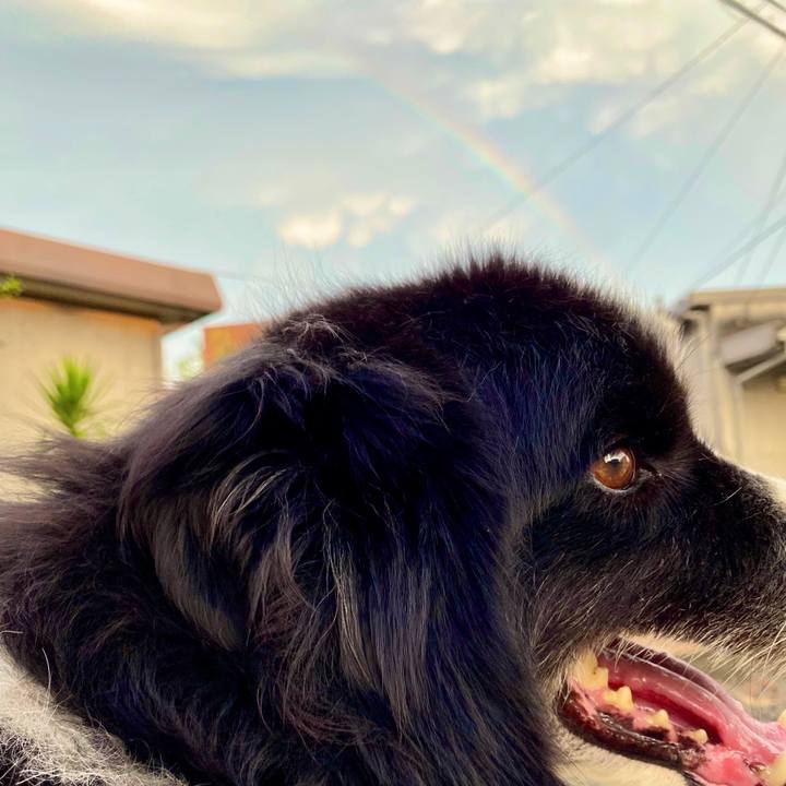 054509ee cee2 487c 9b29 f11aeec19c9c 1598175316584