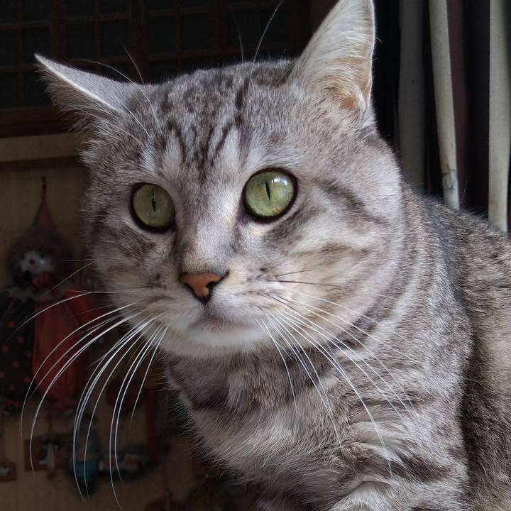 05452536 21c8 4bac 9d94 0dbe6406c0c5 1676260948392