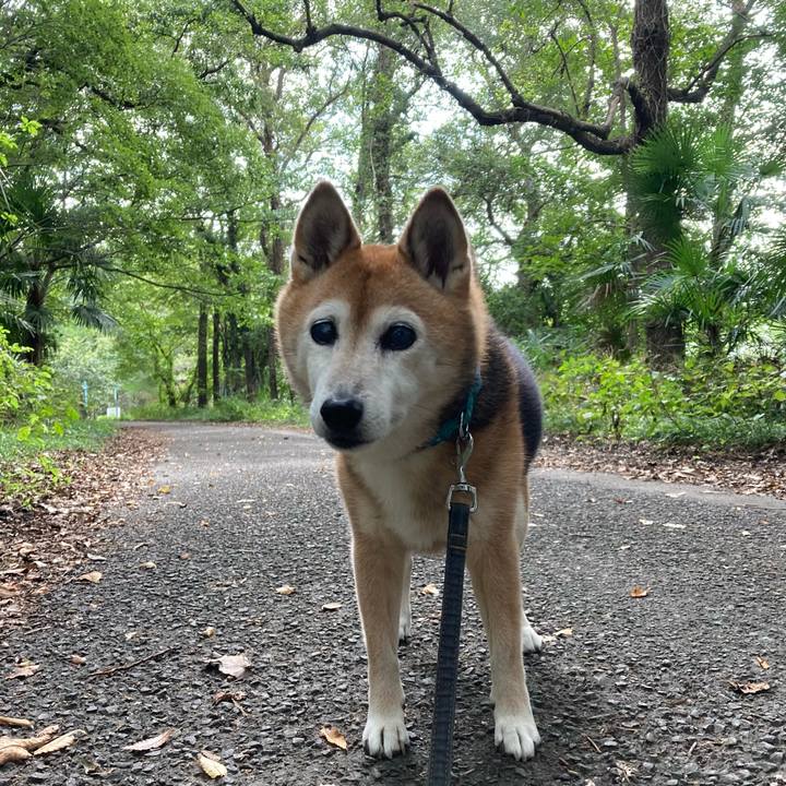 054546ea 78f2 4792 bcc3 4c1c4cf2bc46 1760329756851