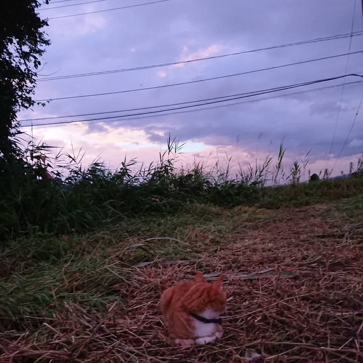 0545534d 185f 4730 8a47 fb5319409728 1565948854559