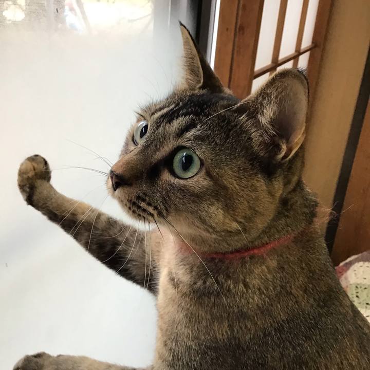 05455377 5e1a 4077 b249 0ff562f9f120 1643527876754