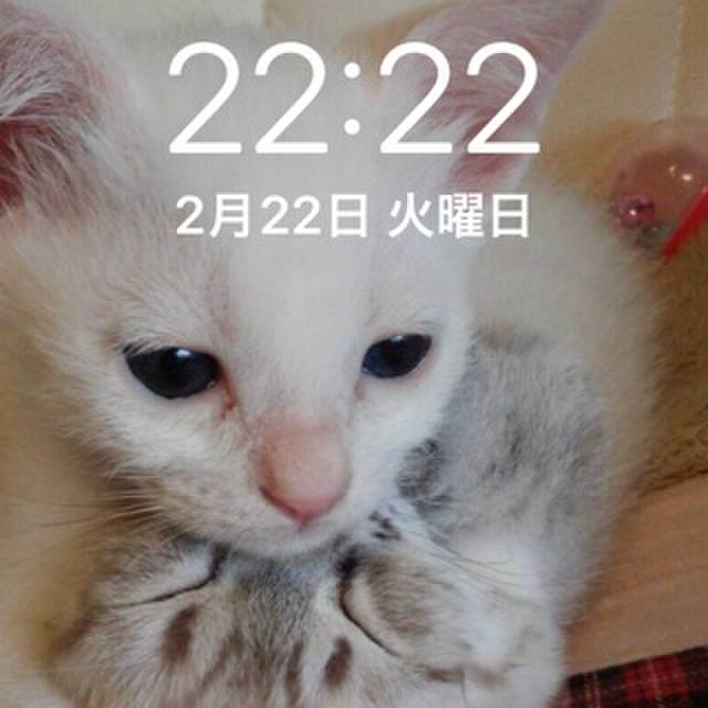 054587f7 b08c 411d 930c 1a599f66e893 1645536167171