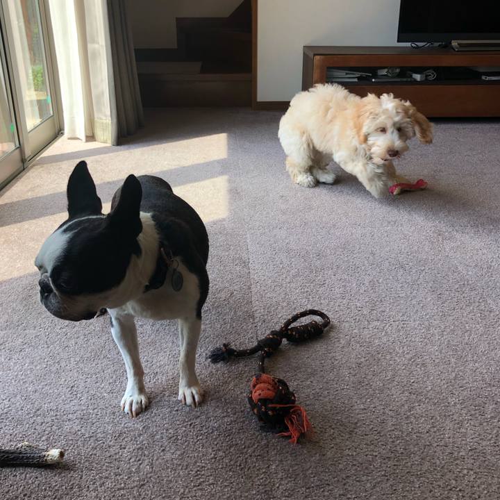 0545a3ca ad8f 414c bbe0 445d70ec9404 1596244690643