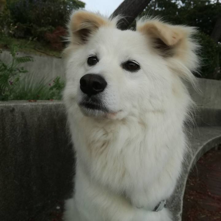 0545aa85 5afc 4f97 9bcc 6d9ca2edda3f 1523431813488