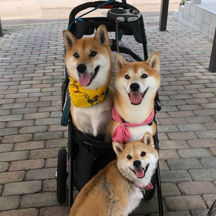 0545d138 90fa 4c45 87c8 7b200f530f1c 1564310859318