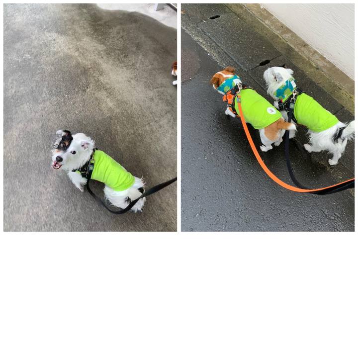 0545eb92 7142 44be beb8 db4ad0be018e 1592534882450