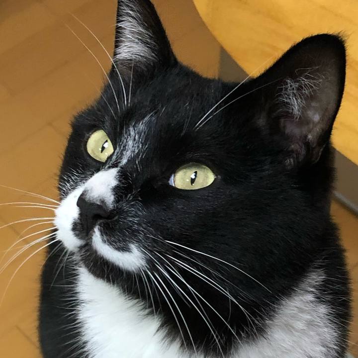 05463c07 422e 42c2 b9f9 54cb5b612372 1584162428808