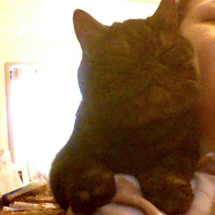 05465a3f 6170 457f 8df4 6f104069c4d1 1546326346013