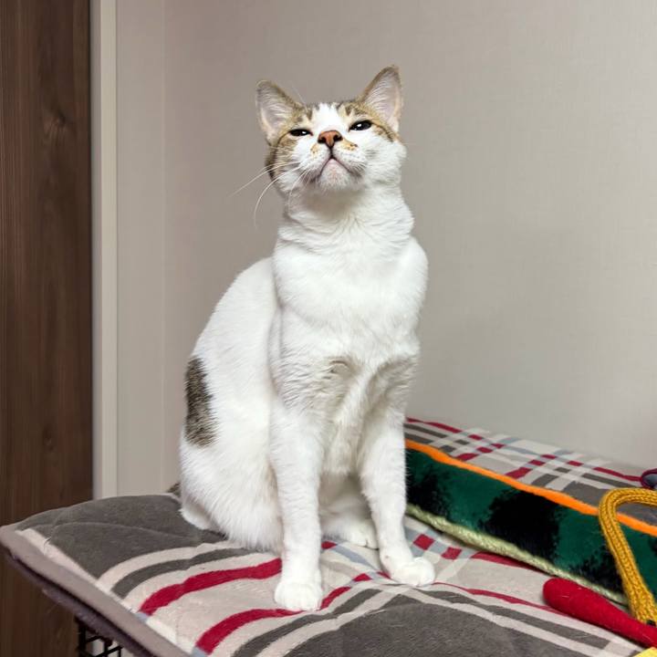 054665f3 4a82 42f6 aa48 a64a3659e0f4 1765846181585